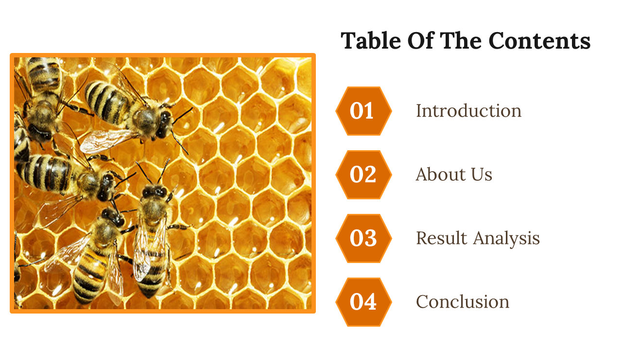 400091-us-honey-bee-day-02