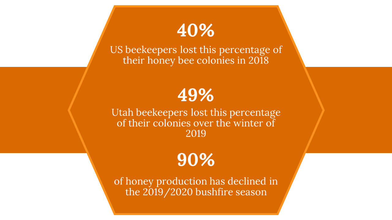 400091-us-honey-bee-day-22