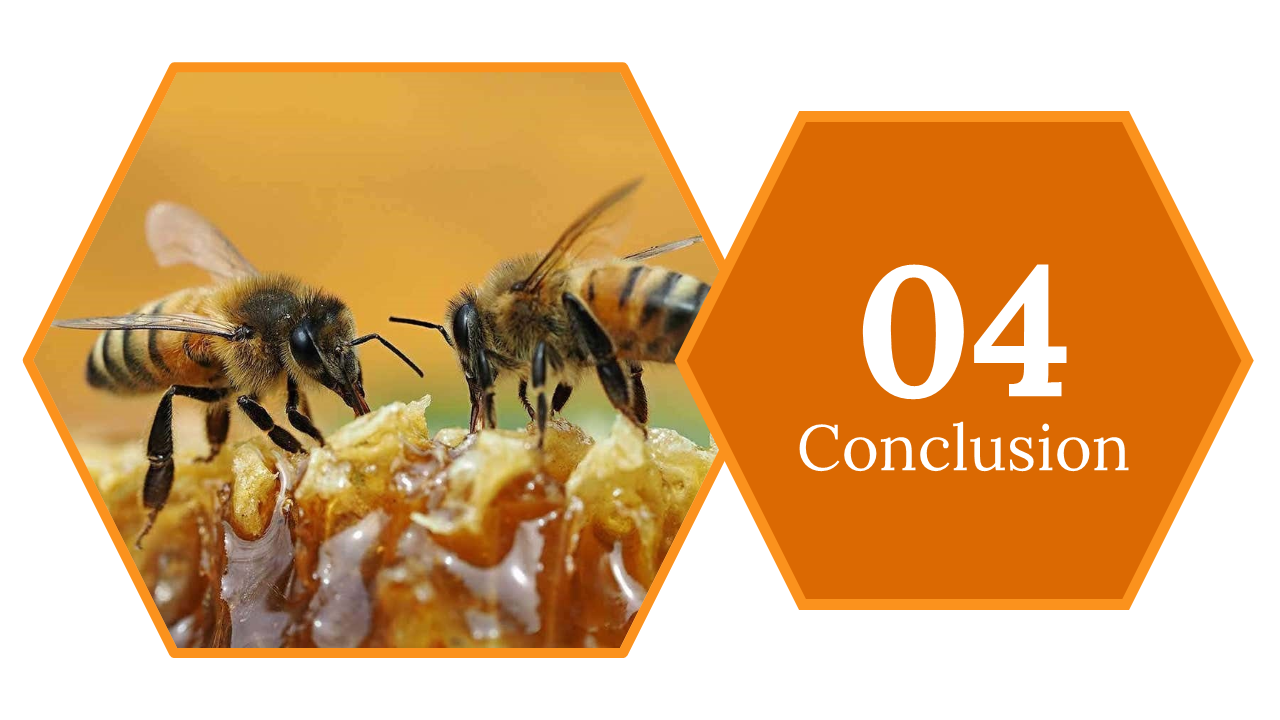 400091-us-honey-bee-day-28