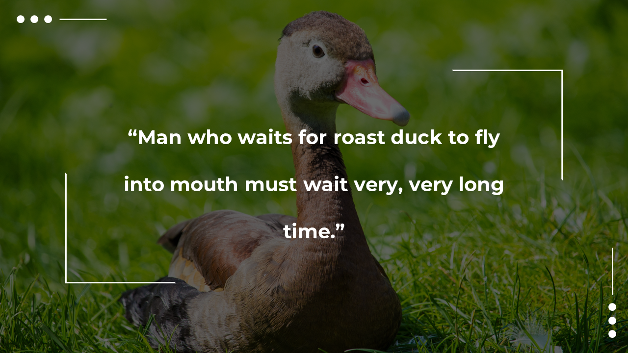200089-daniel-duck-day-17