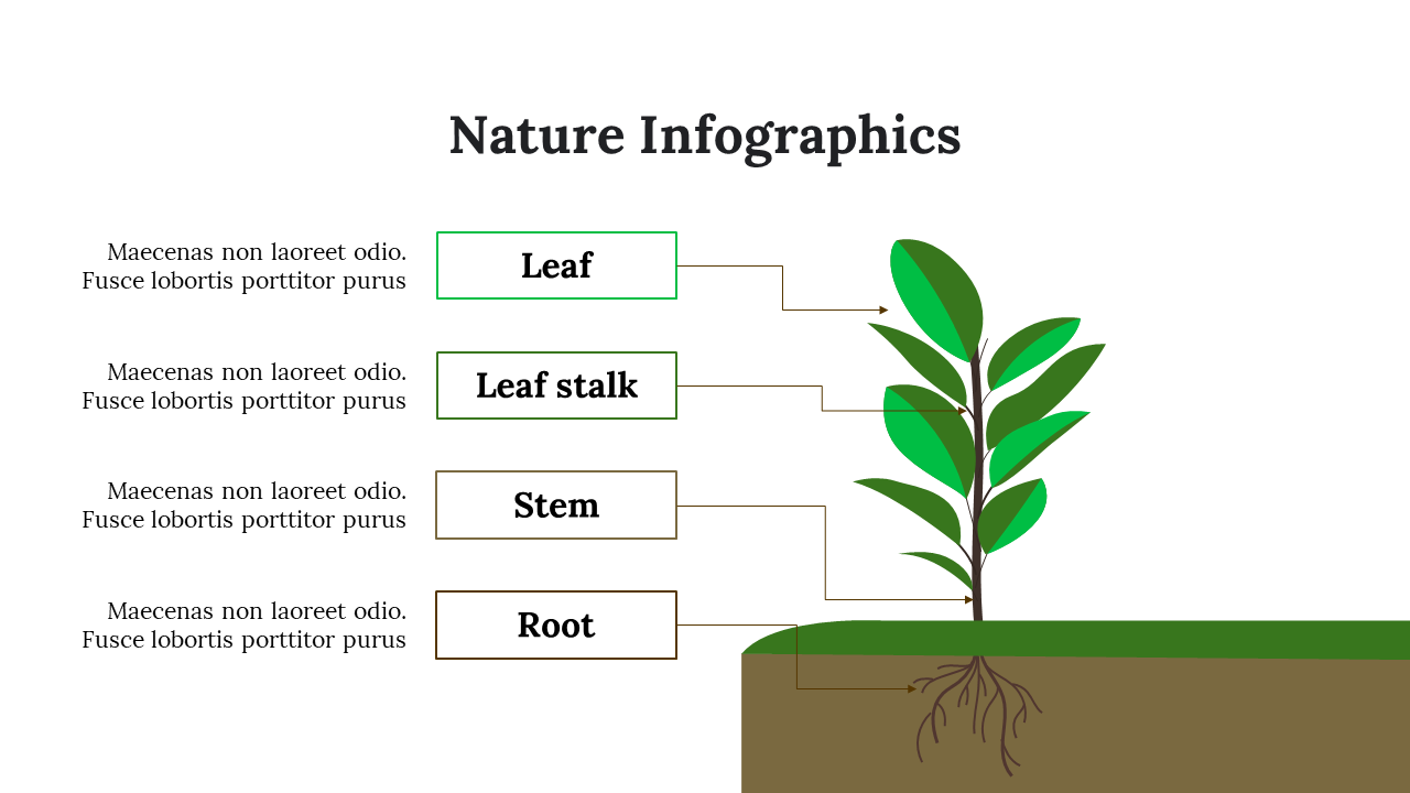 400100-nature-infographics-09