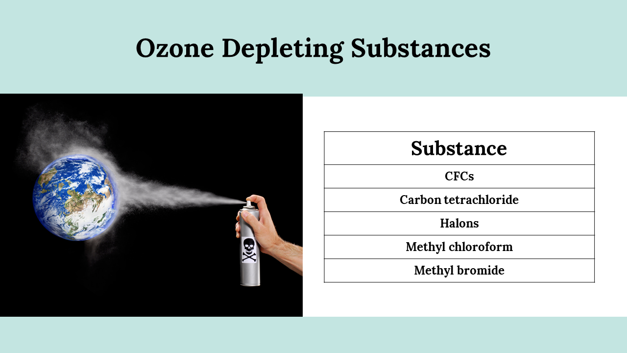 300105-world-ozone-day-19