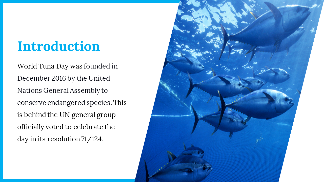 300106-world-tuna-day-04