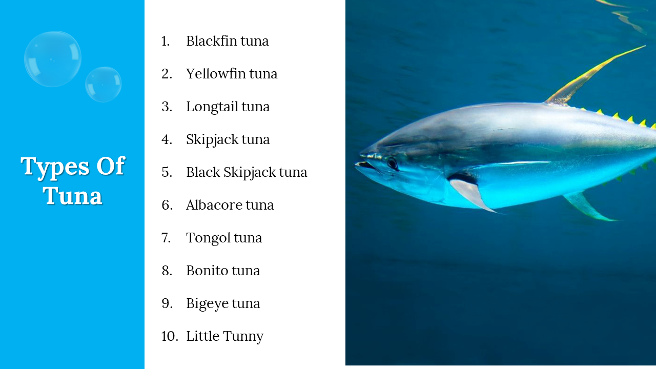300106-world-tuna-day-17
