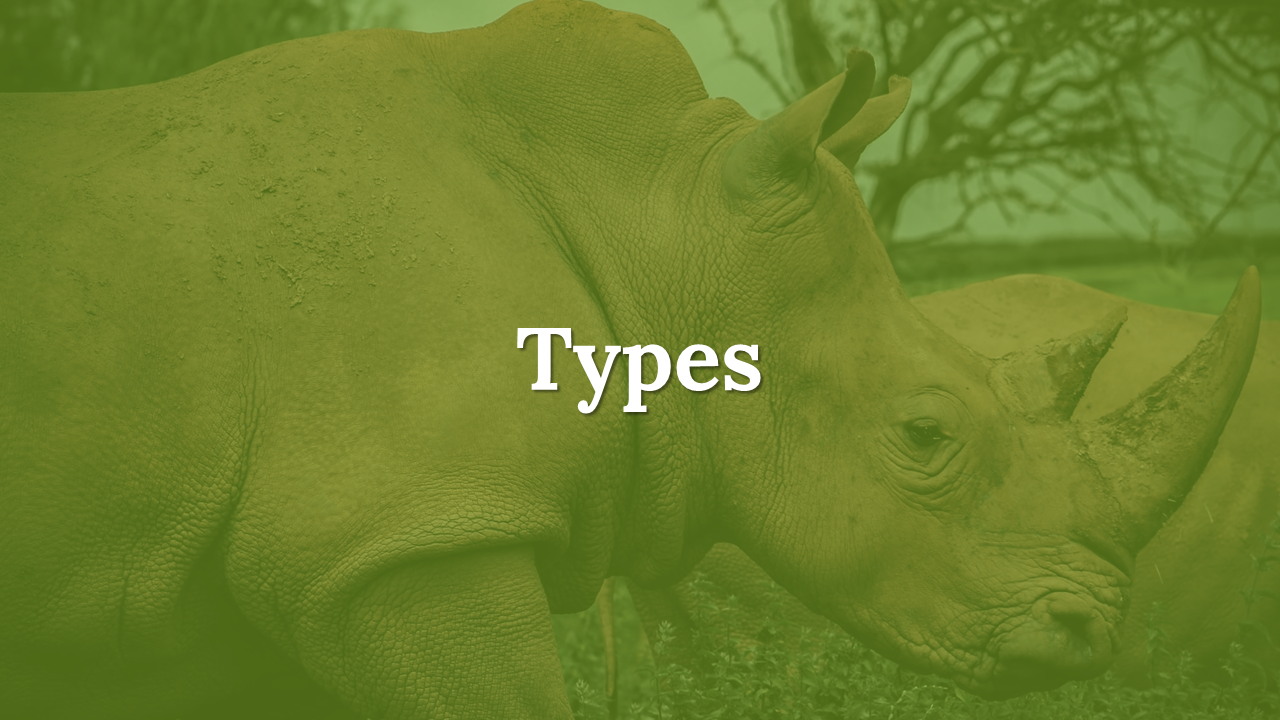 300111-world-rhino-day-23
