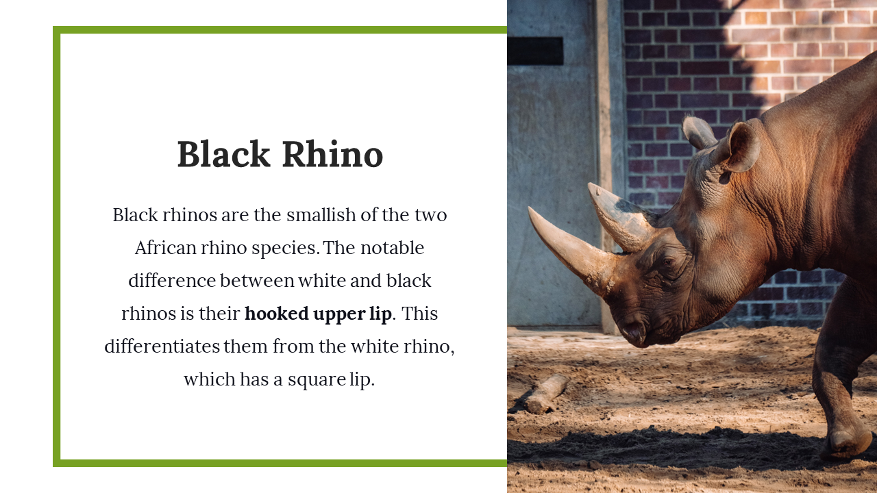 300111-world-rhino-day-25