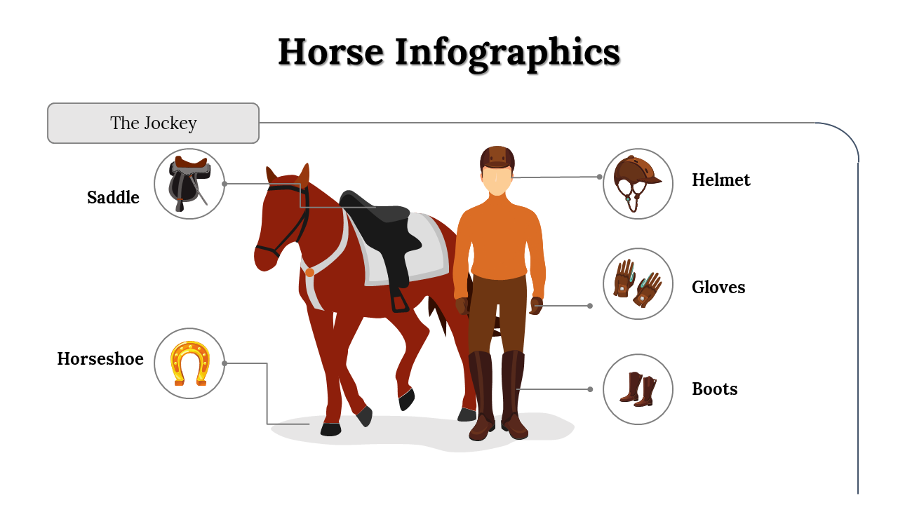 300112-horse-infographics-19