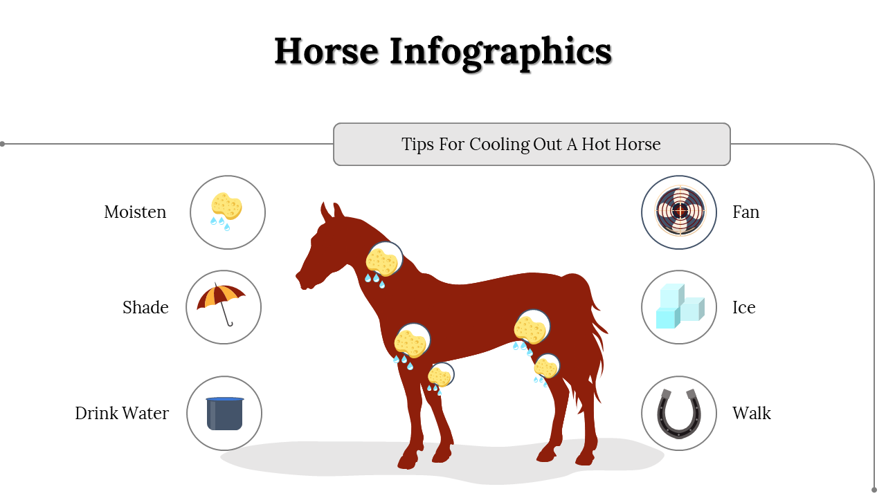 300112-horse-infographics-30