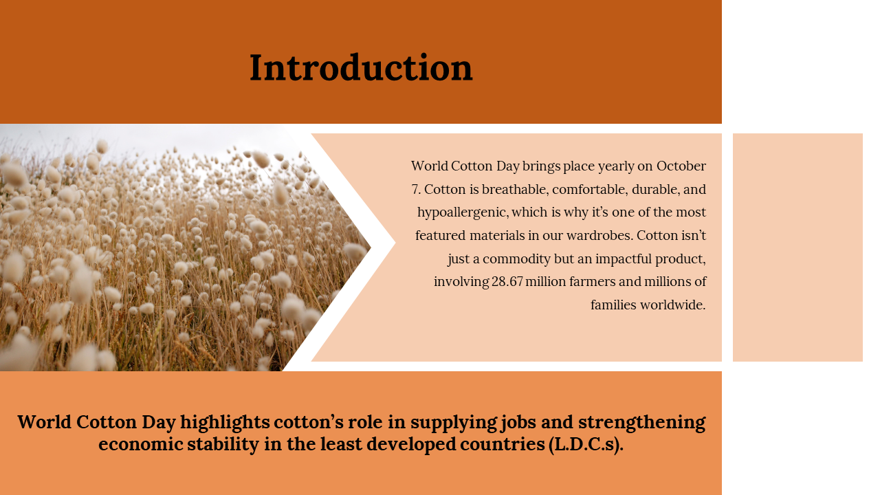 100119-world-cotton-day-03