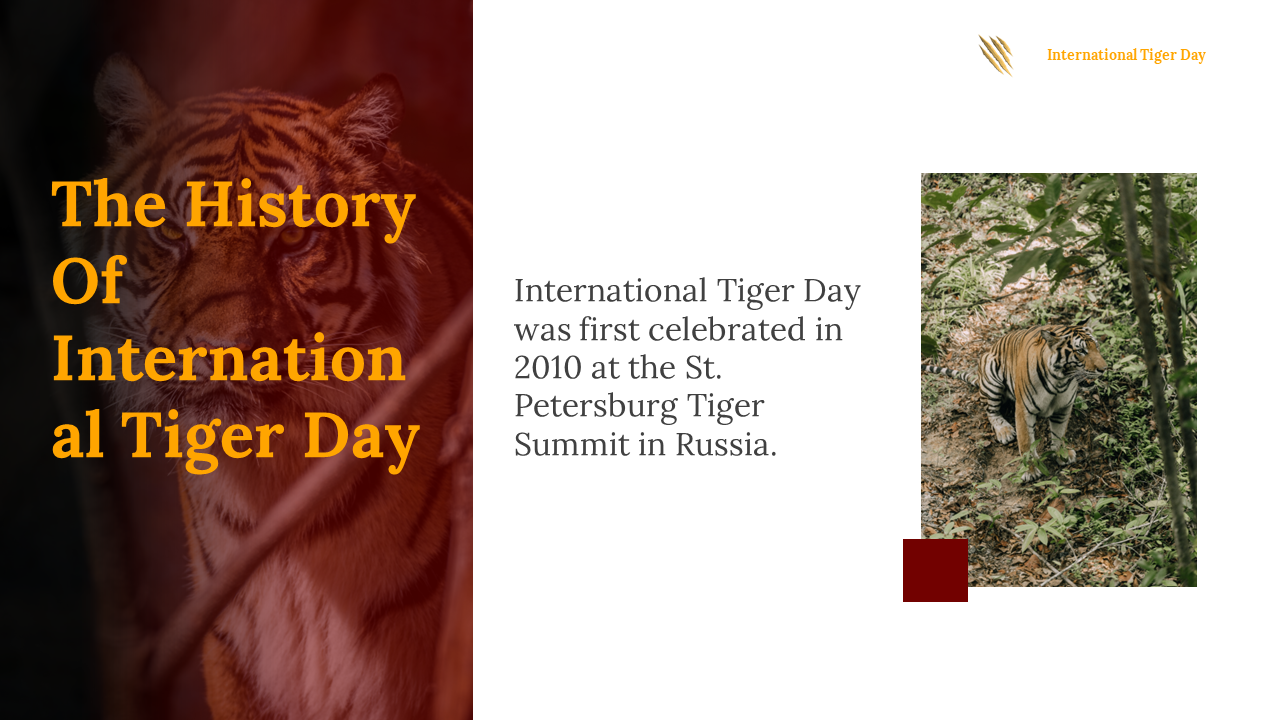 400169-international-tiger-day-04