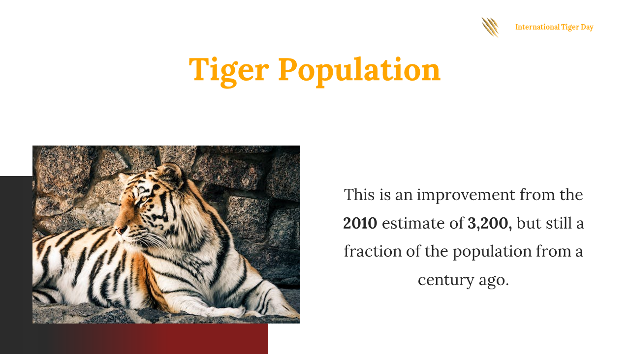 400169-international-tiger-day-11