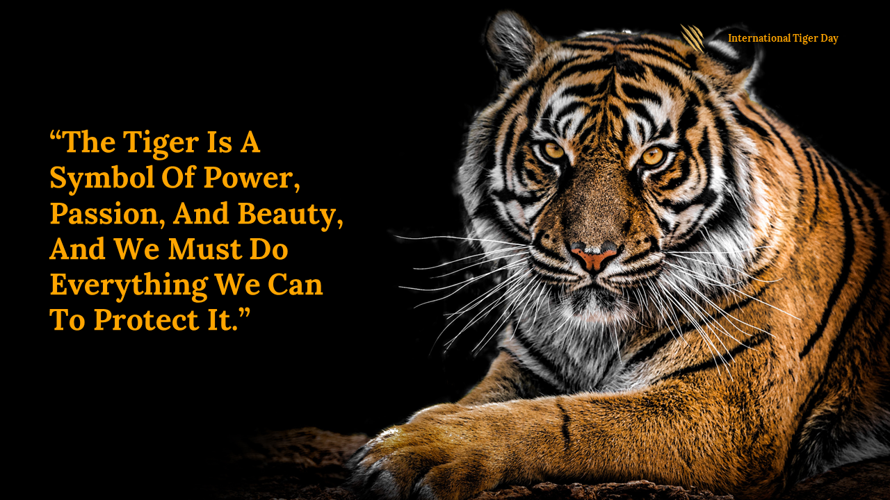 400169-international-tiger-day-30
