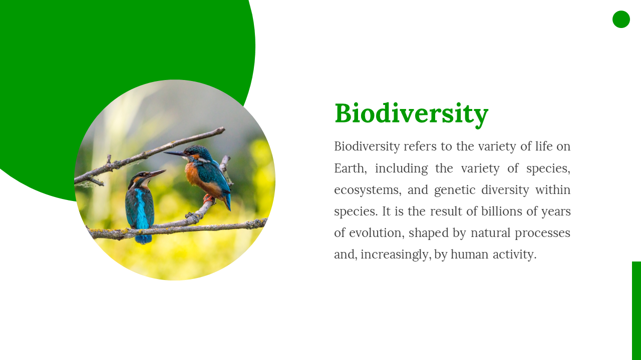 200136-world-nature-conservation-day-10