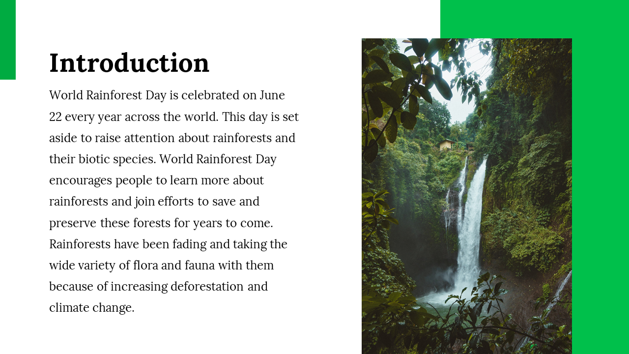 100142-world-rainforest-day-03