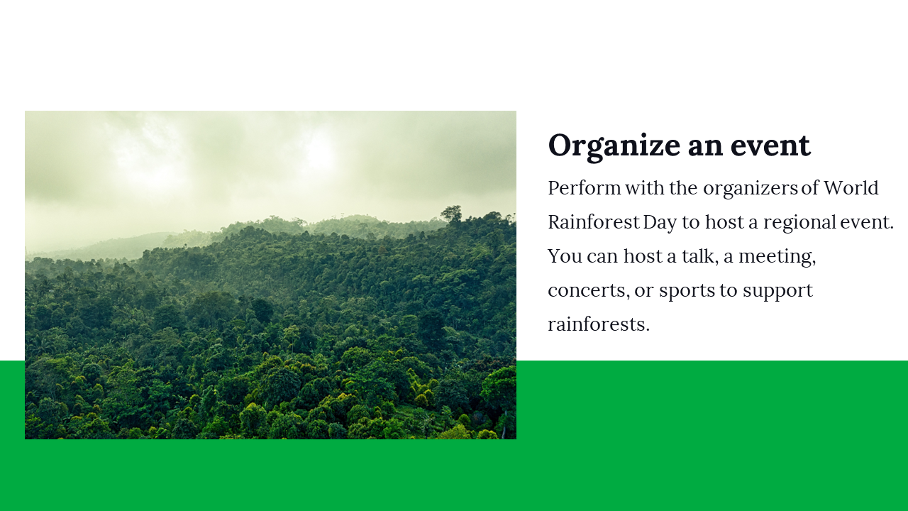 100142-world-rainforest-day-09