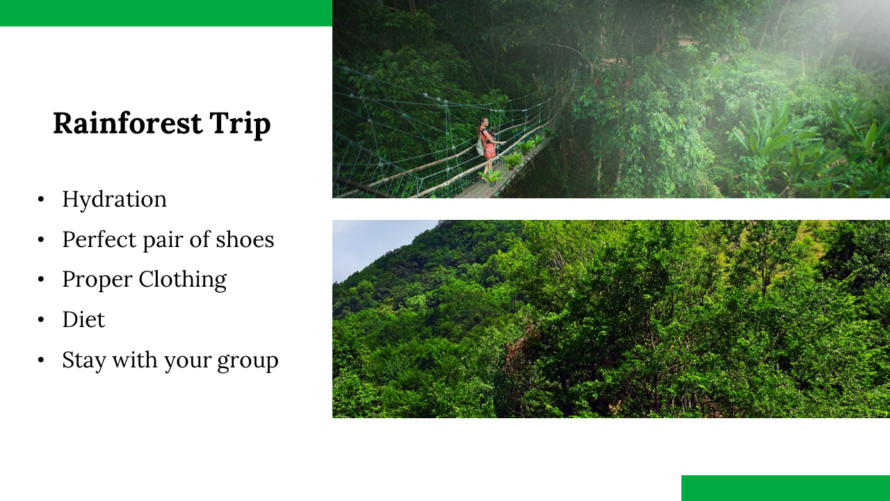 100142-world-rainforest-day-24