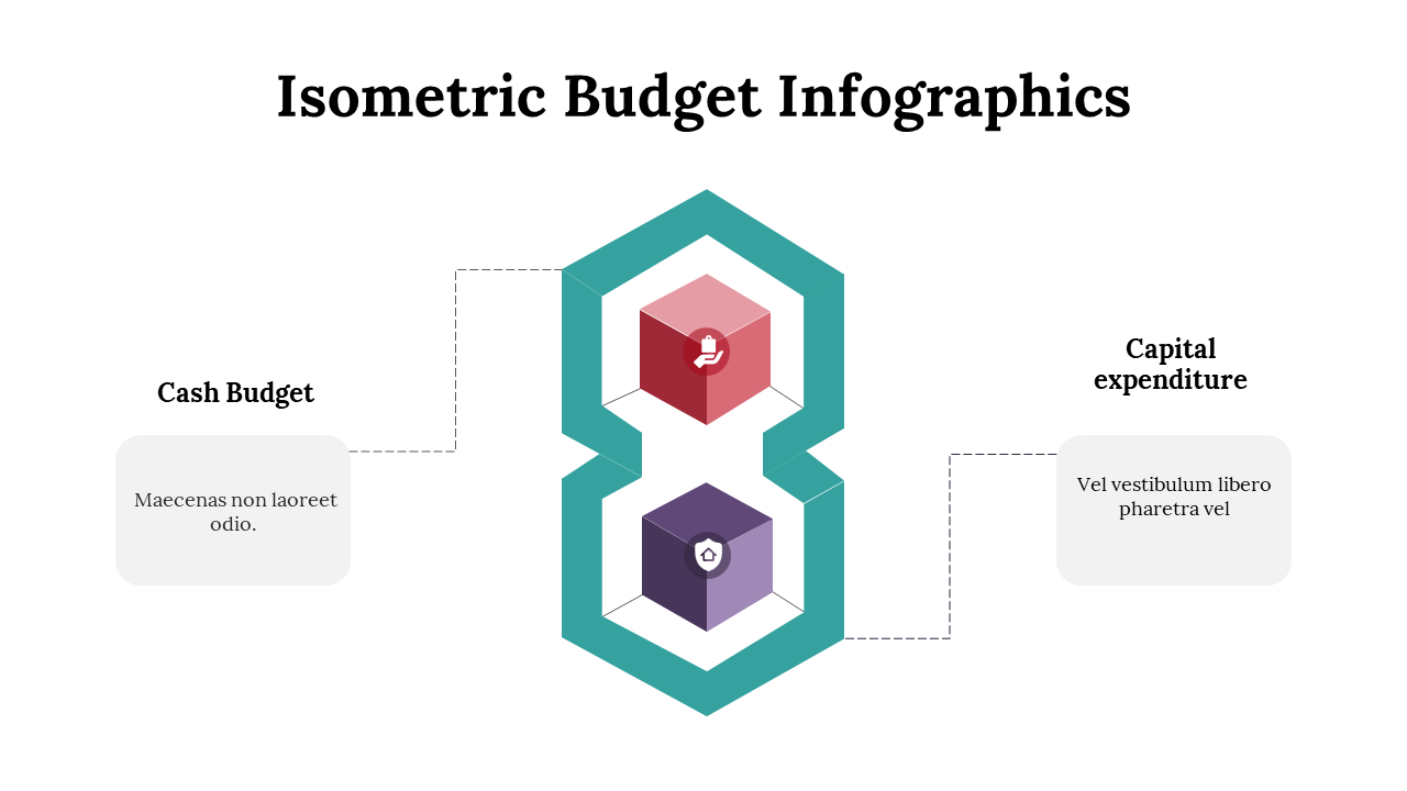100195-isometric-budget-infographics-03