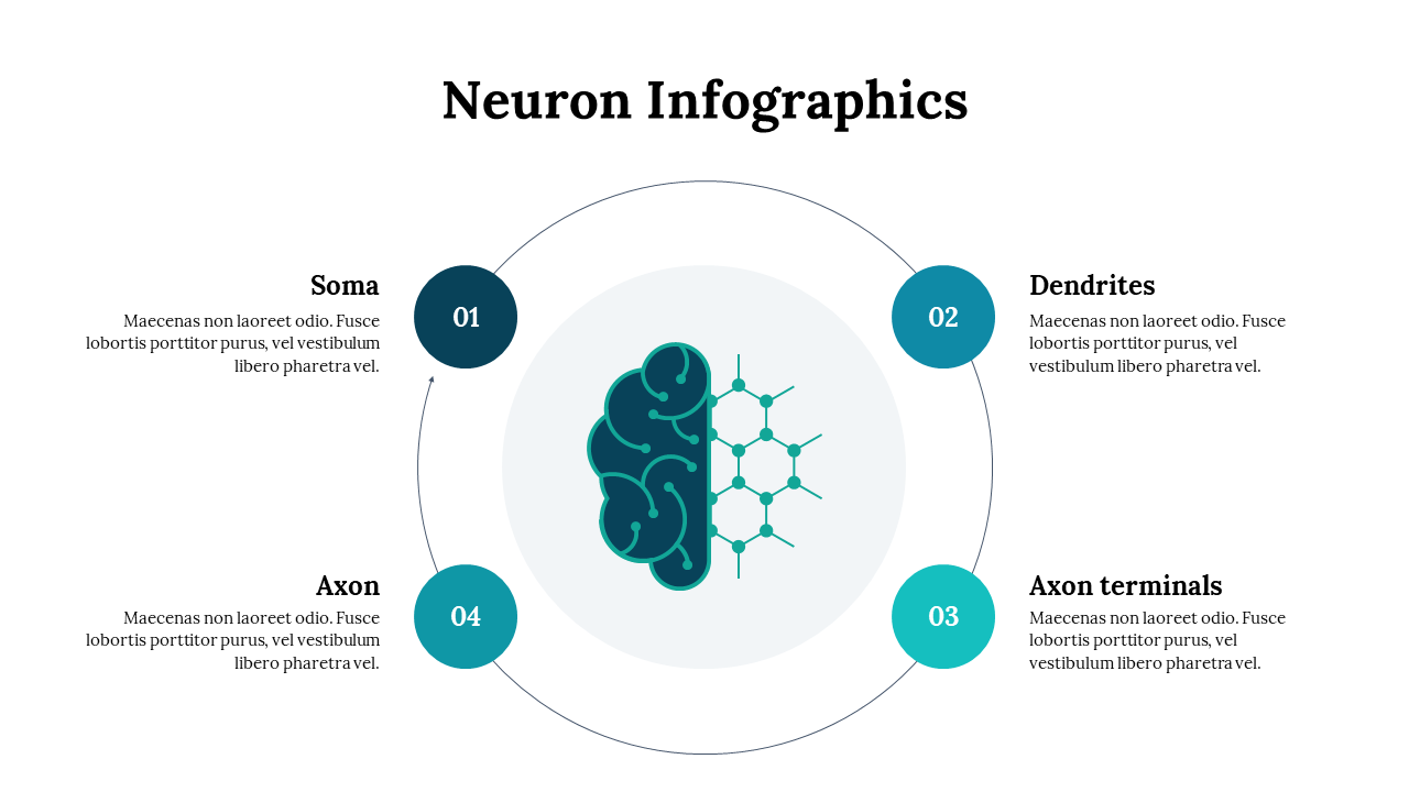 300262-neuron-infographics-10