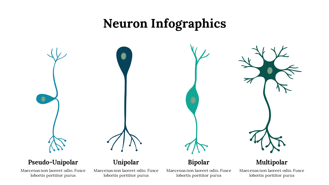 300262-neuron-infographics-29