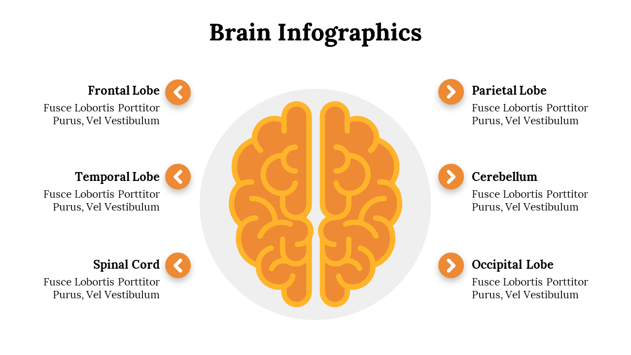 500018-brain-infographics-03