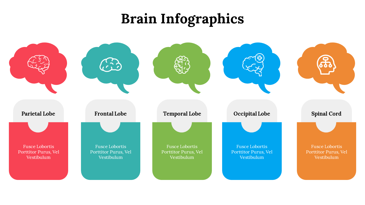 500018-brain-infographics-07