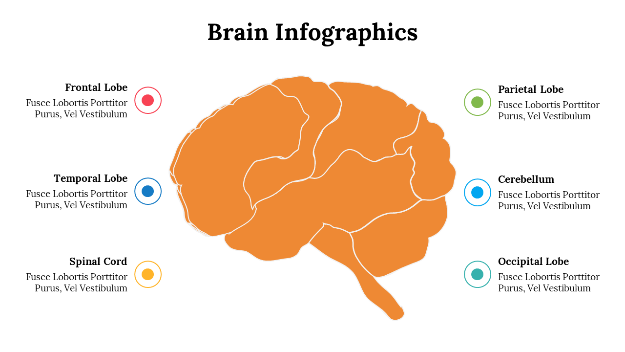 500018-brain-infographics-12