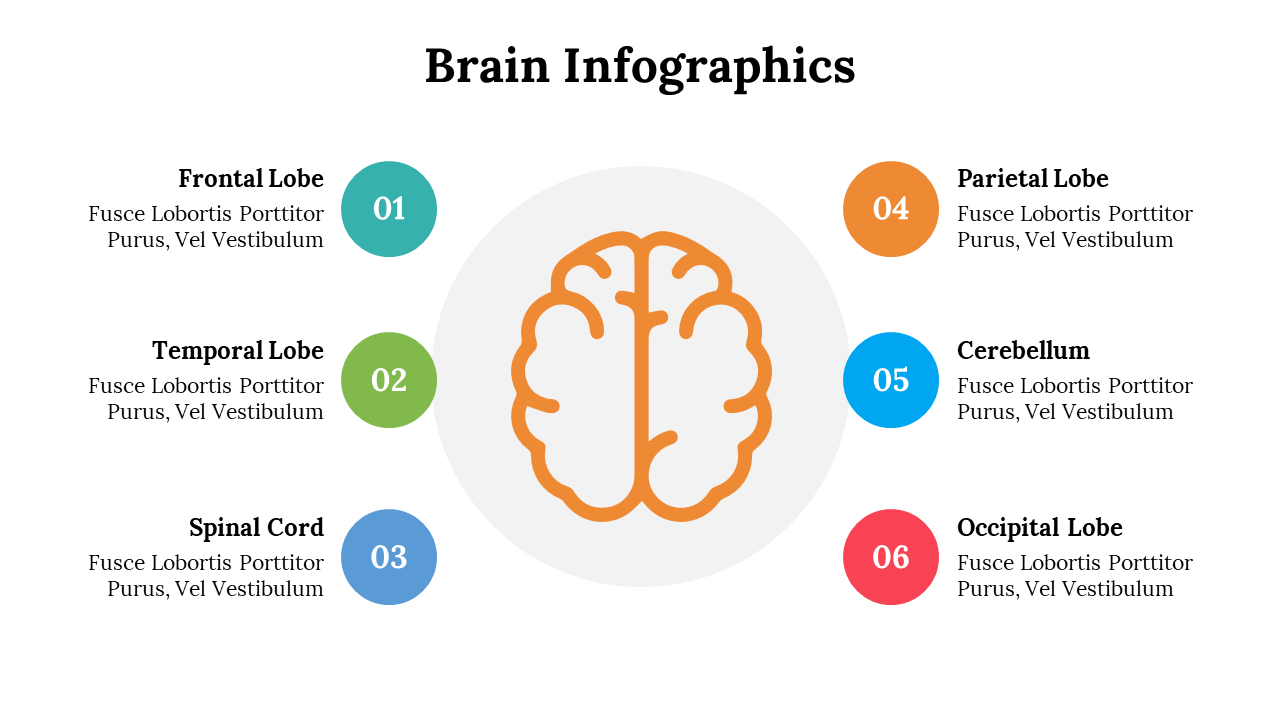500018-brain-infographics-14