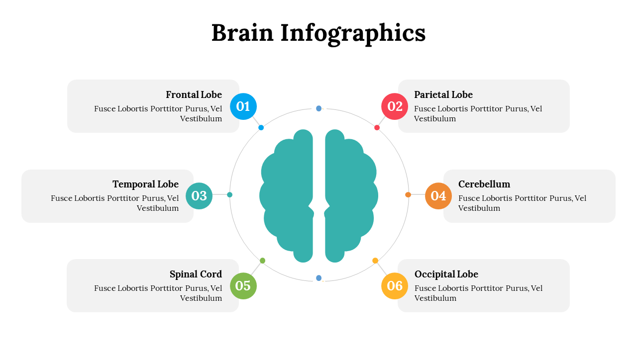 500018-brain-infographics-15