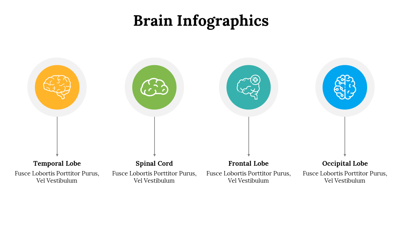 500018-brain-infographics-16
