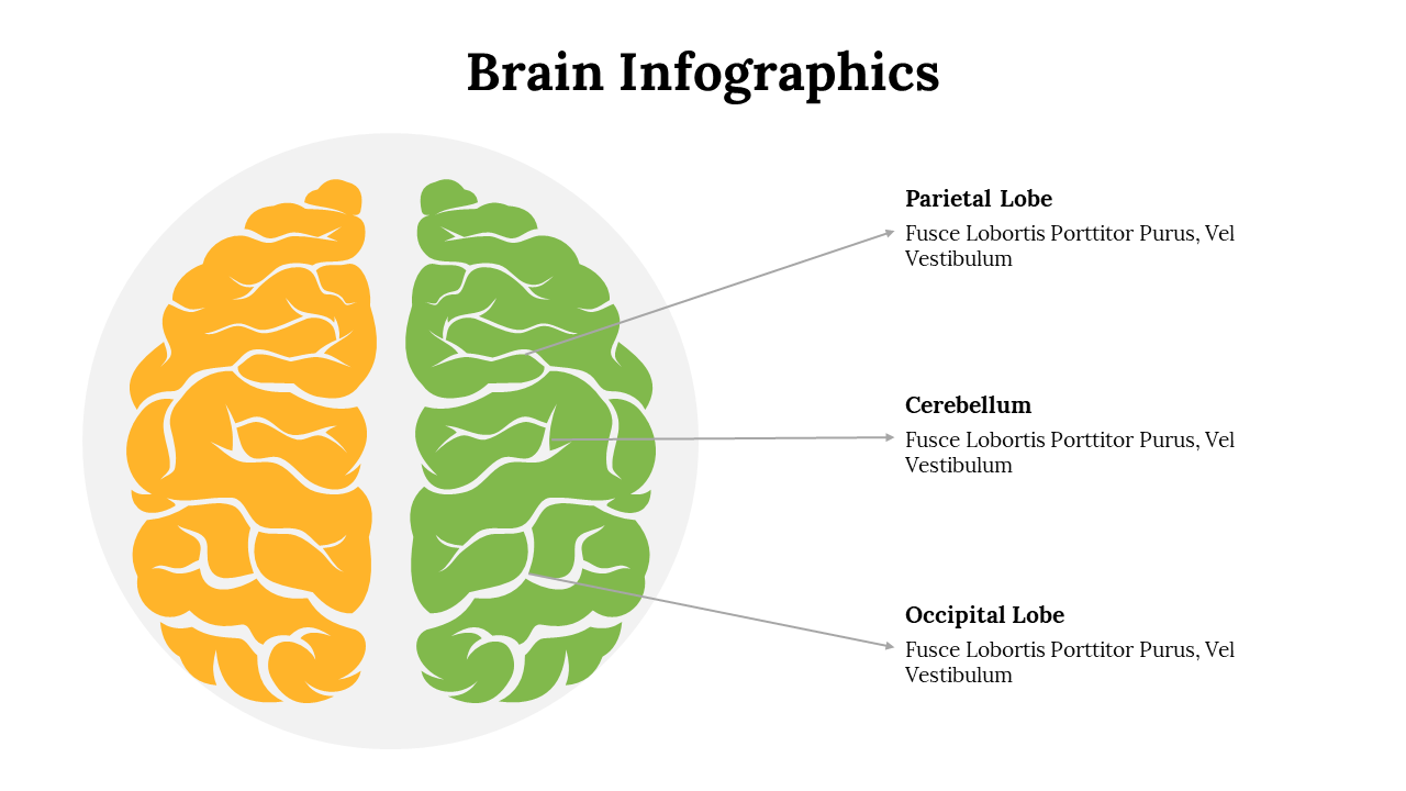 500018-brain-infographics-21