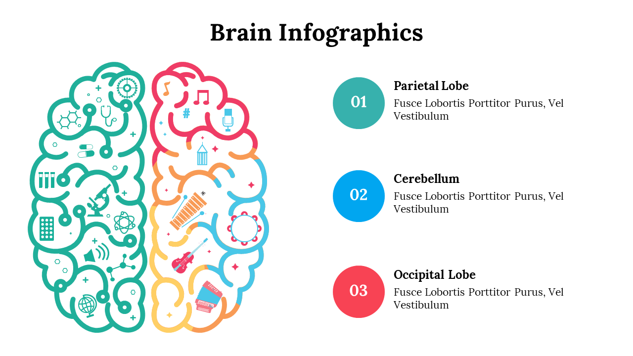 500018-brain-infographics-30