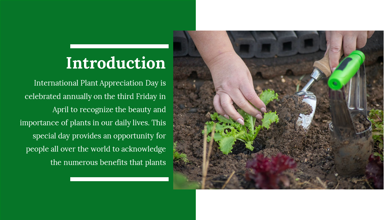 400327-international-plant-appreciation-day-03