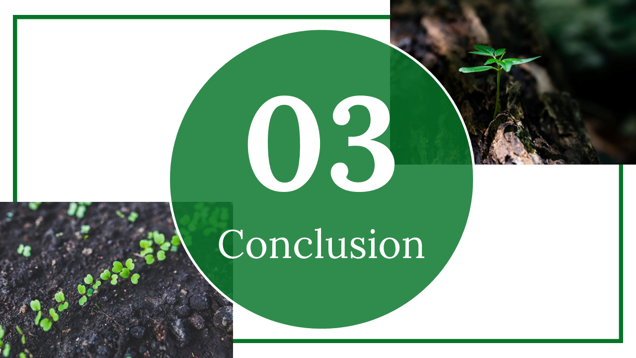 400327-international-plant-appreciation-day-13