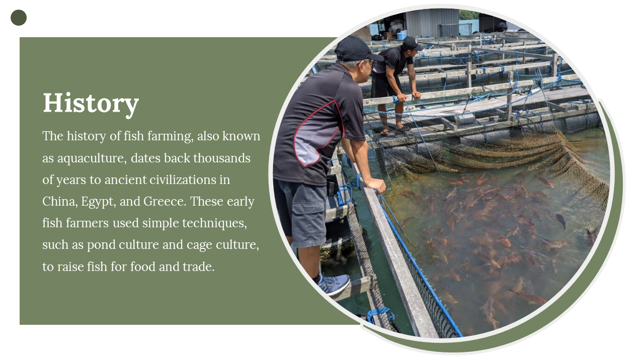 400332-fish-farming-business-plan-04