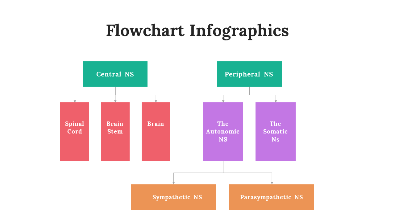 300292-flowchart-infographics-12