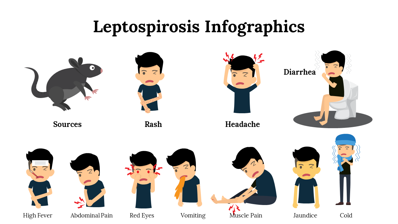 100252-leptospirosis-infographics-19