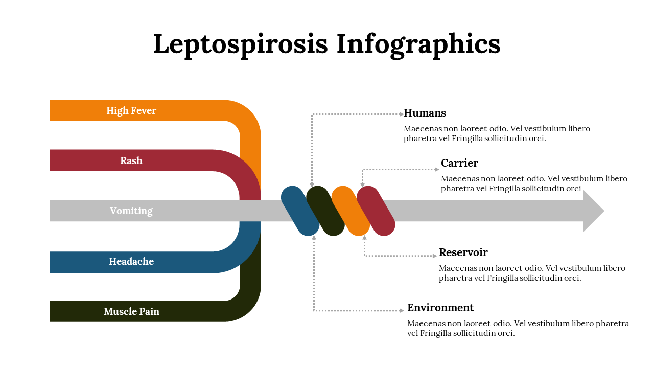 100252-leptospirosis-infographics-21