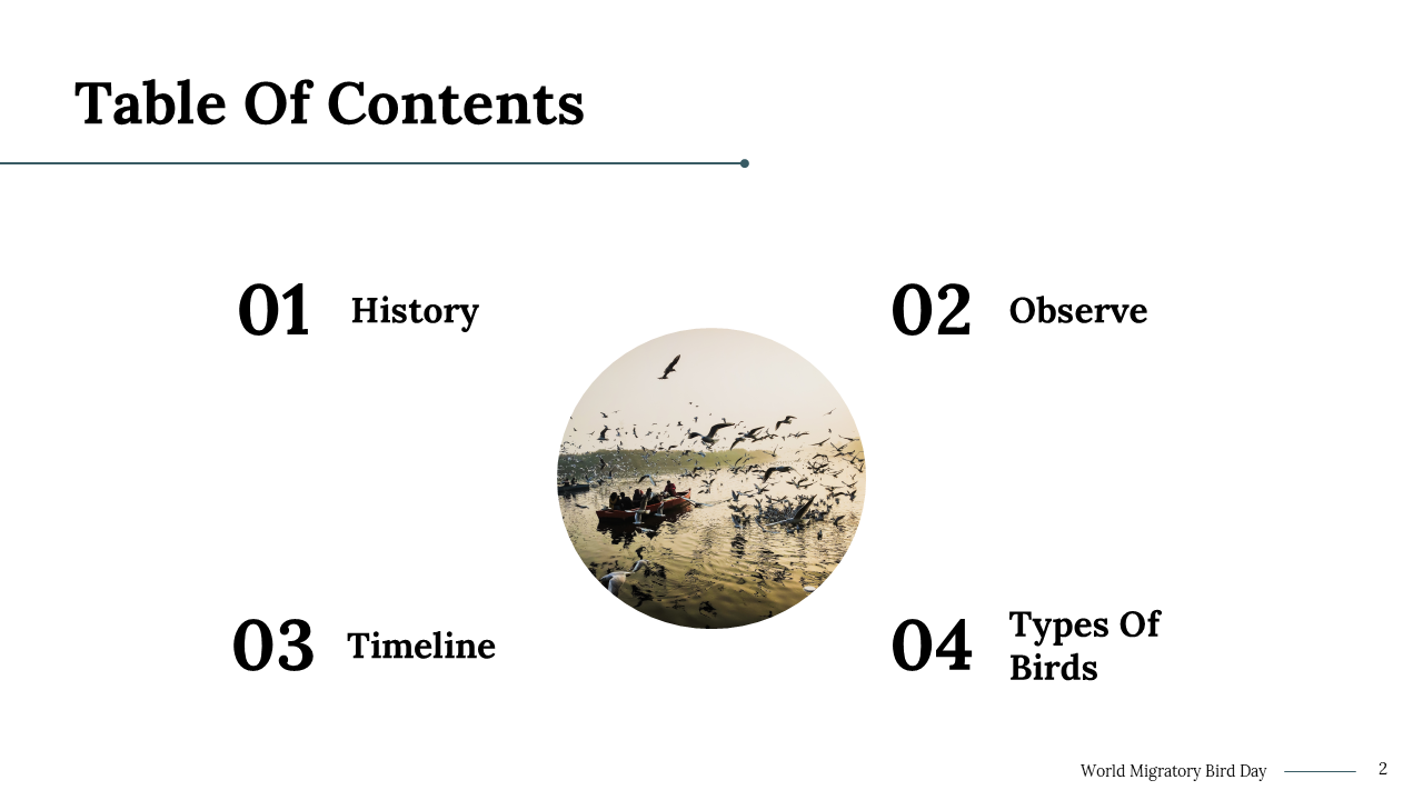100290-world-migratory-bird-day-02