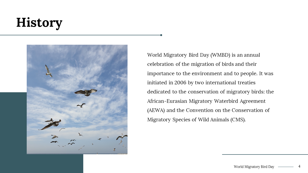 100290-world-migratory-bird-day-04