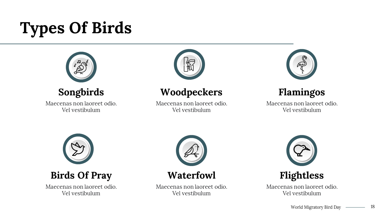 100290-world-migratory-bird-day-16