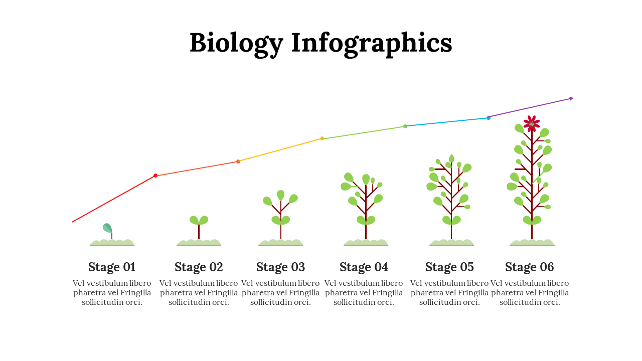 100299-biology-infographics-19