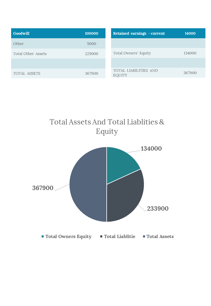 200262-financial-balance-sheet-06