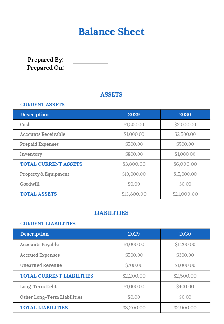 200262-financial-balance-sheet-07