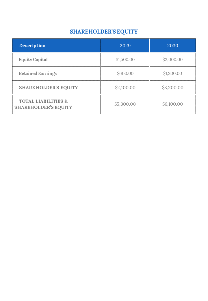 200262-financial-balance-sheet-08