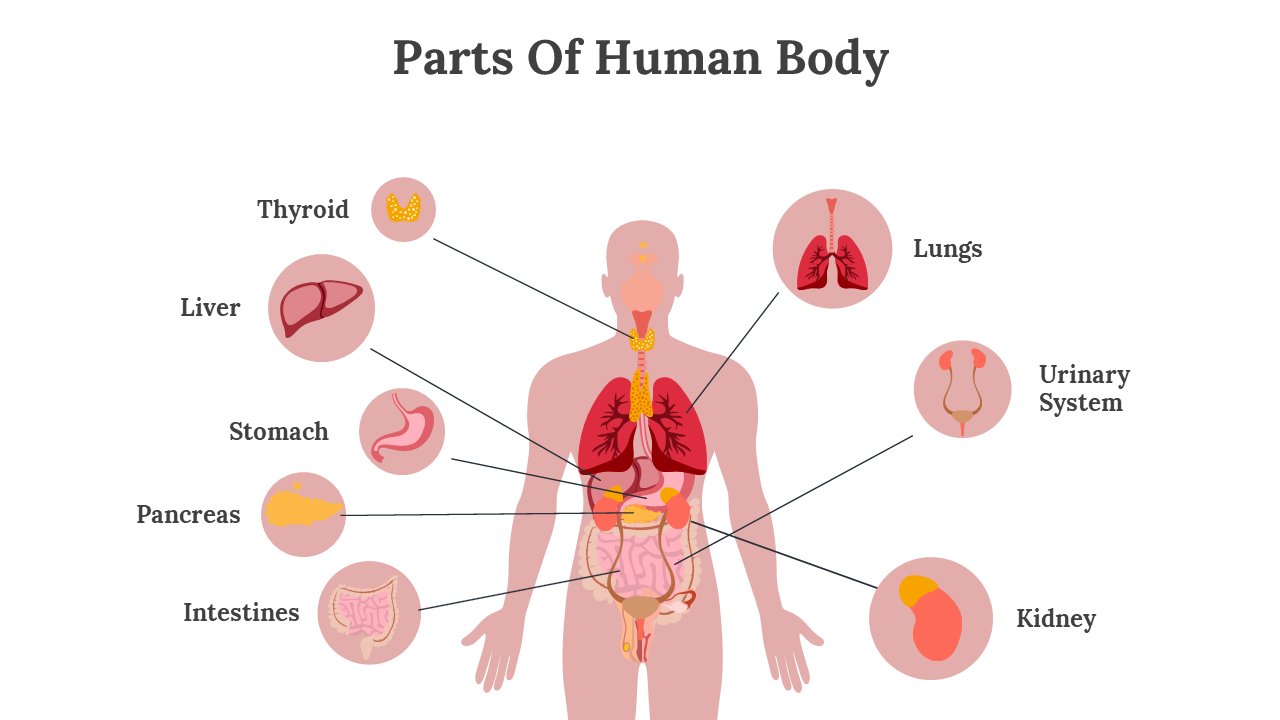 400356-biology-presentation-09