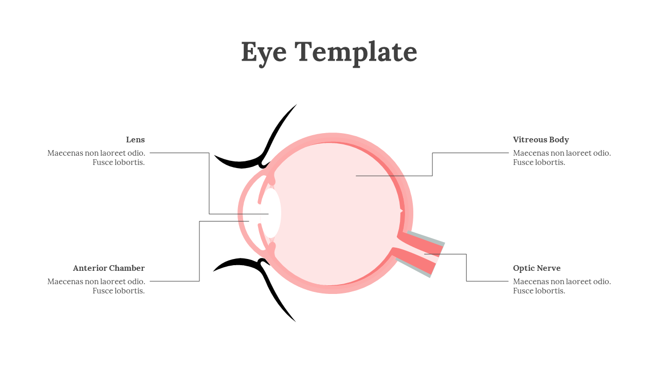 200270-eye-template-07