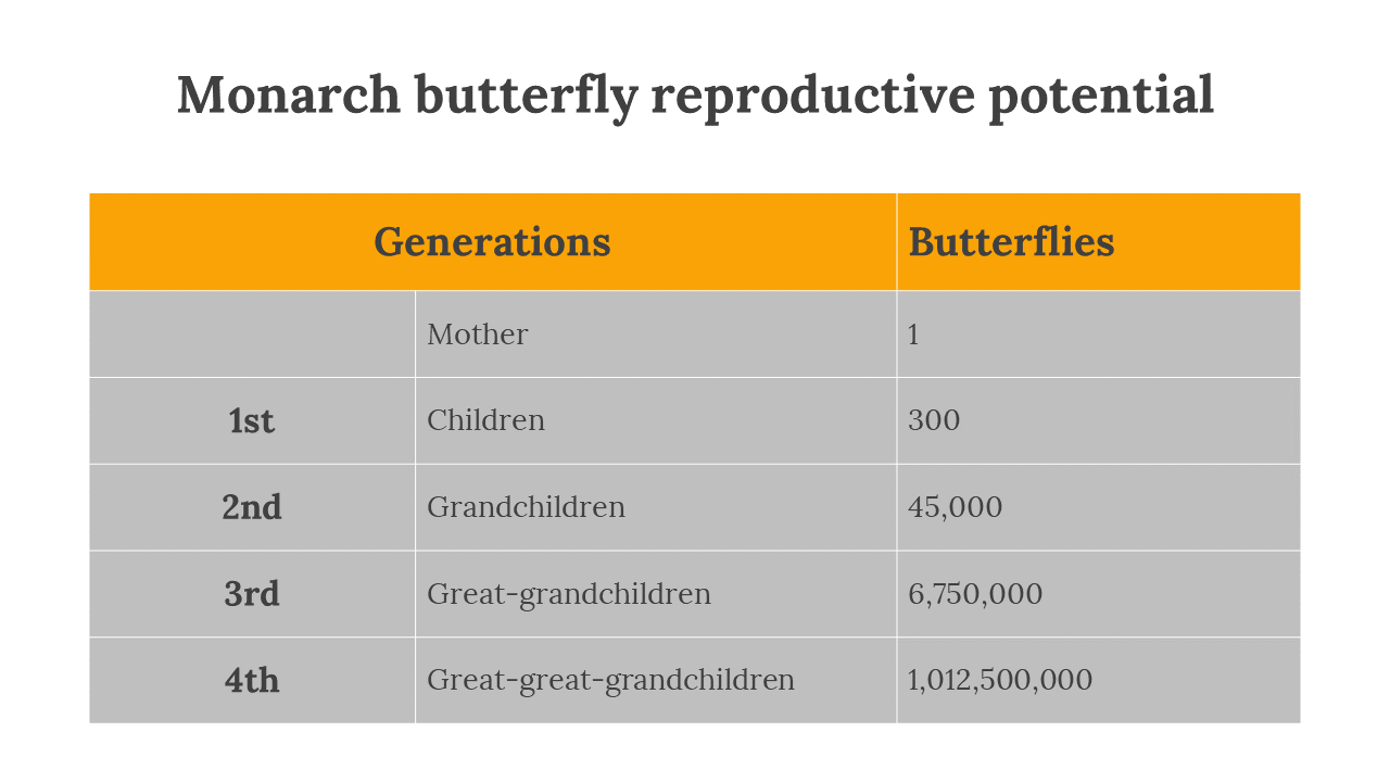 400359-butterfly-templates-26