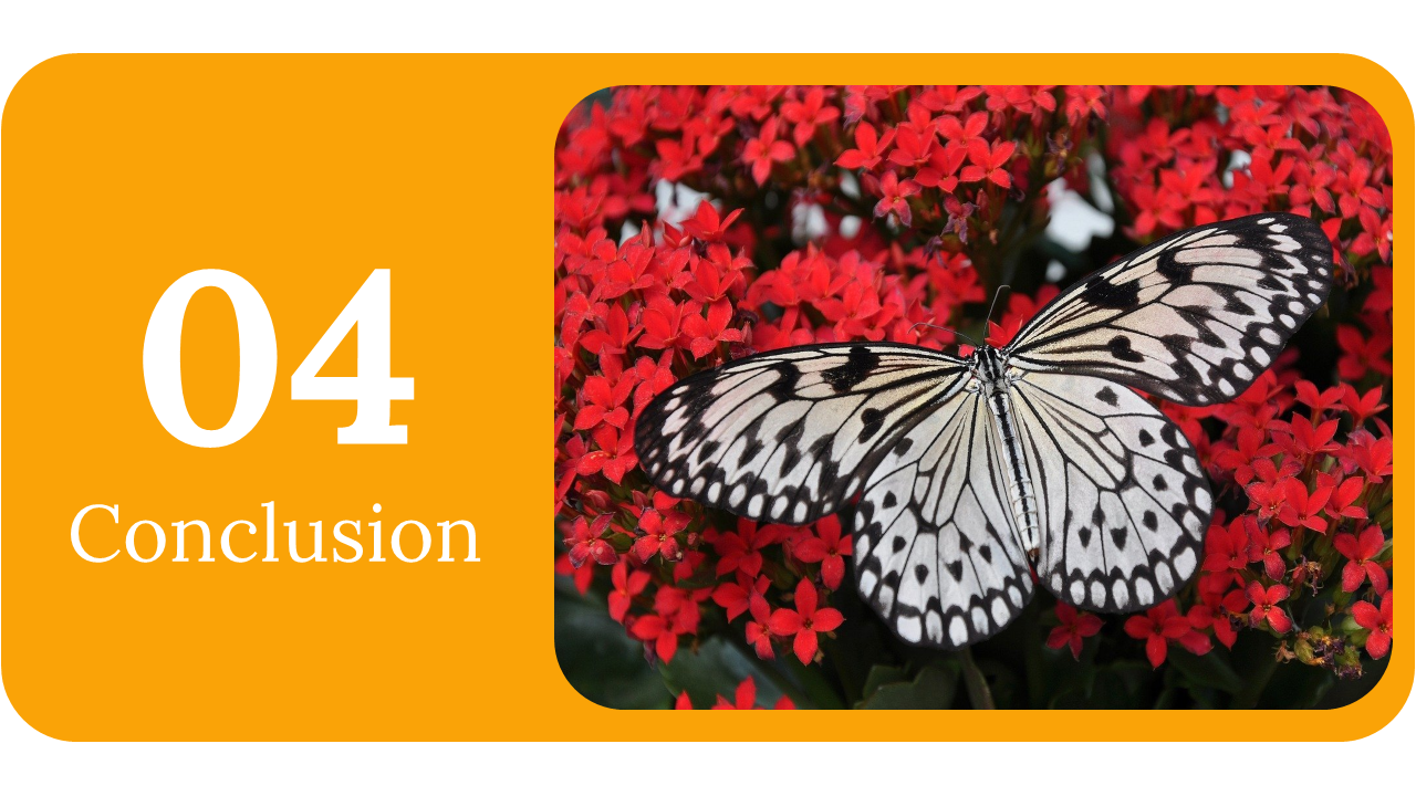 400359-butterfly-templates-28