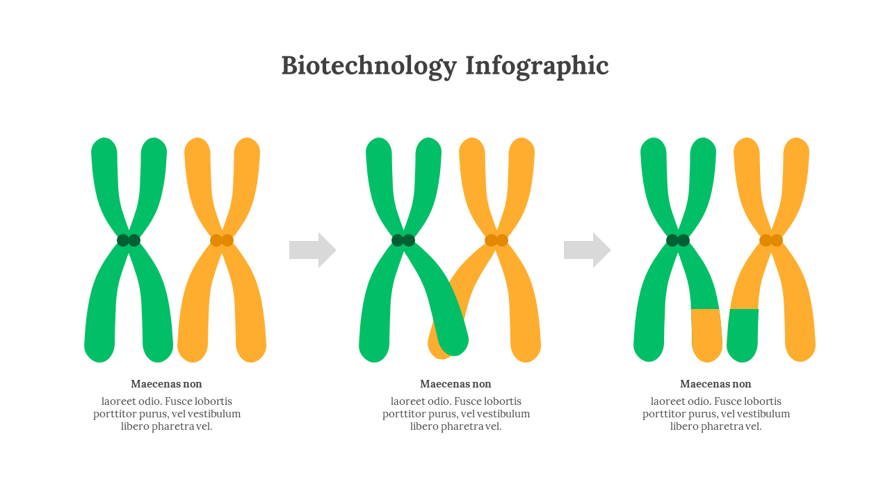 300330-biotechnology-infographic-26