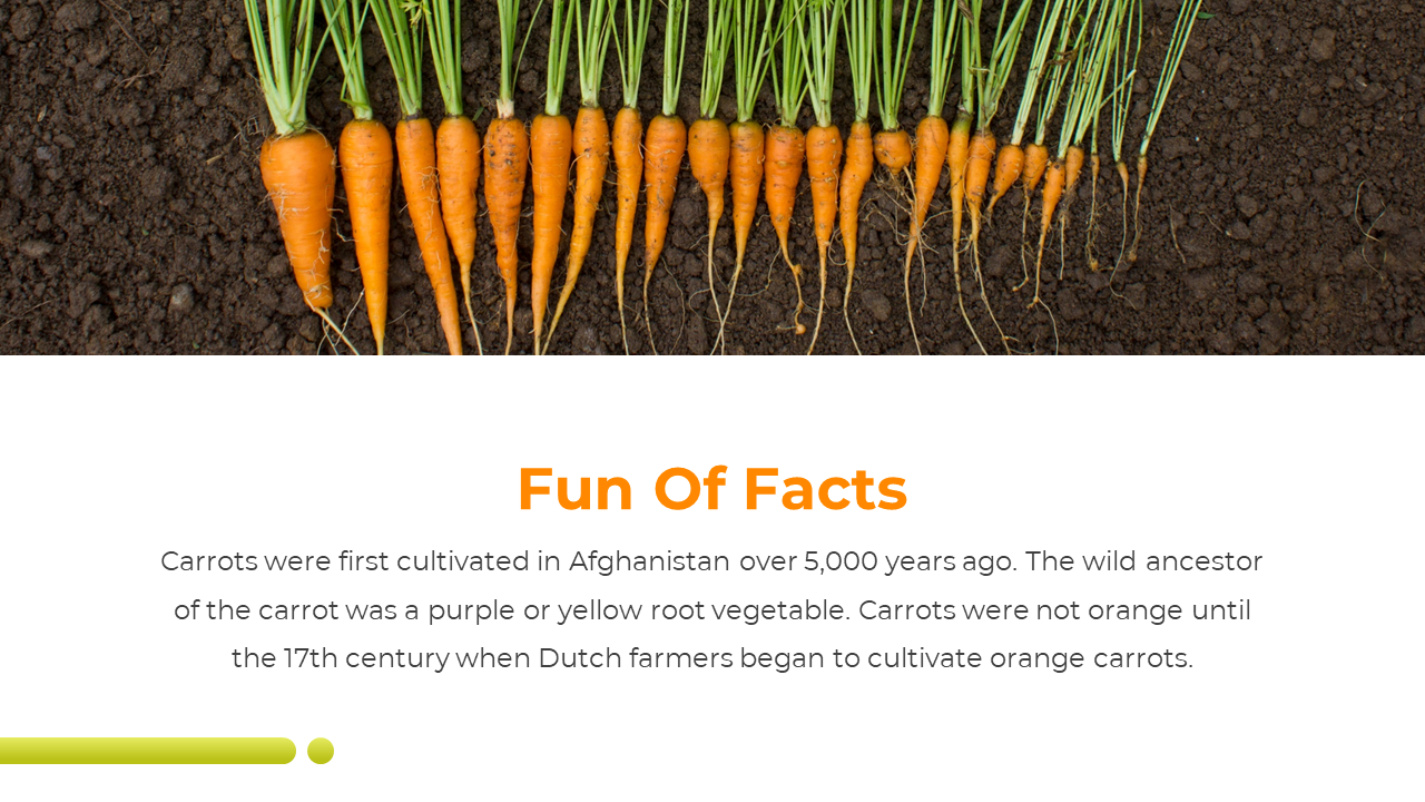 200292-international-carrot-day-12